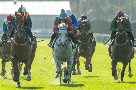 warwick farm trials|Warwick Farm Trial Report .